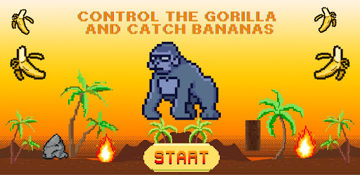 Gorilla Run