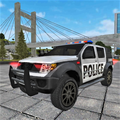 Police Miami Crime