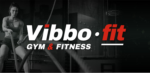 Vibbo