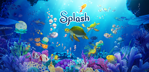 Splash Boat