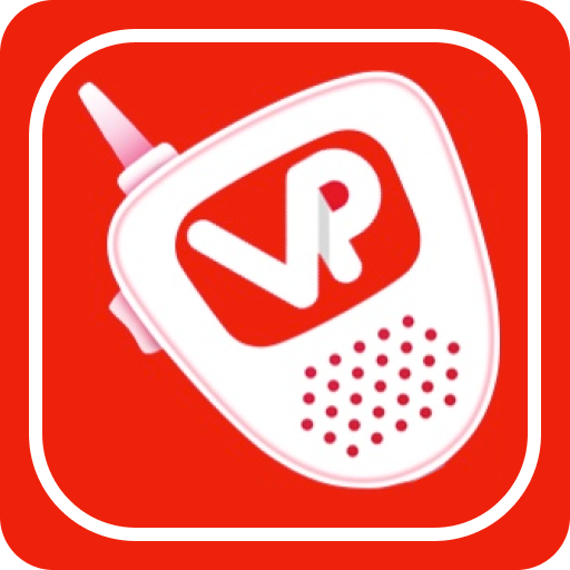 VoicePing